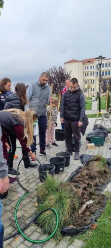Plantare-de-specii-noi-de-copaci-in-Ovidius-Park-12