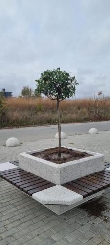 Plantare-de-specii-noi-de-copaci-in-Ovidius-Park-2