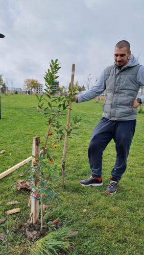 Plantare-de-specii-noi-de-copaci-in-Ovidius-Park-26