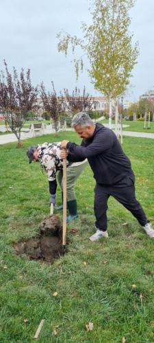 Plantare-de-specii-noi-de-copaci-in-Ovidius-Park-3