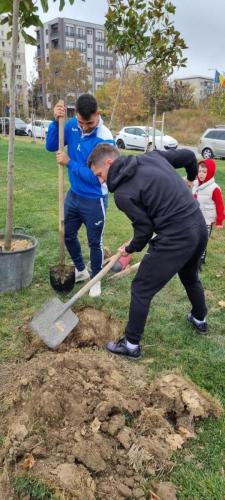 Plantare-de-specii-noi-de-copaci-in-Ovidius-Park-4