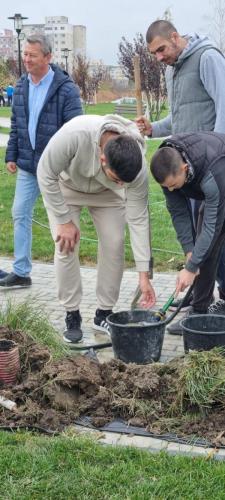 Plantare-de-specii-noi-de-copaci-in-Ovidius-Park-7